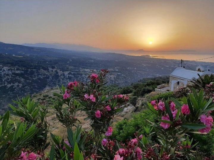 Althea Apartment Maroulás Dış mekan fotoğraf